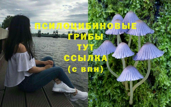крисы Балахна