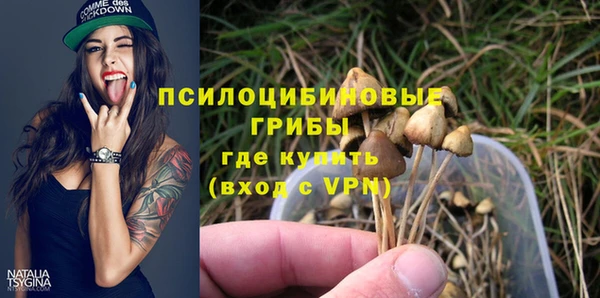 крисы Балахна