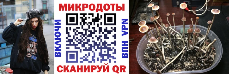 Псилоцибиновые грибы Magic Shrooms  Озёрск 