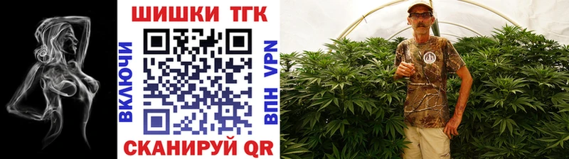 Каннабис план  дарнет шоп  Озёрск 